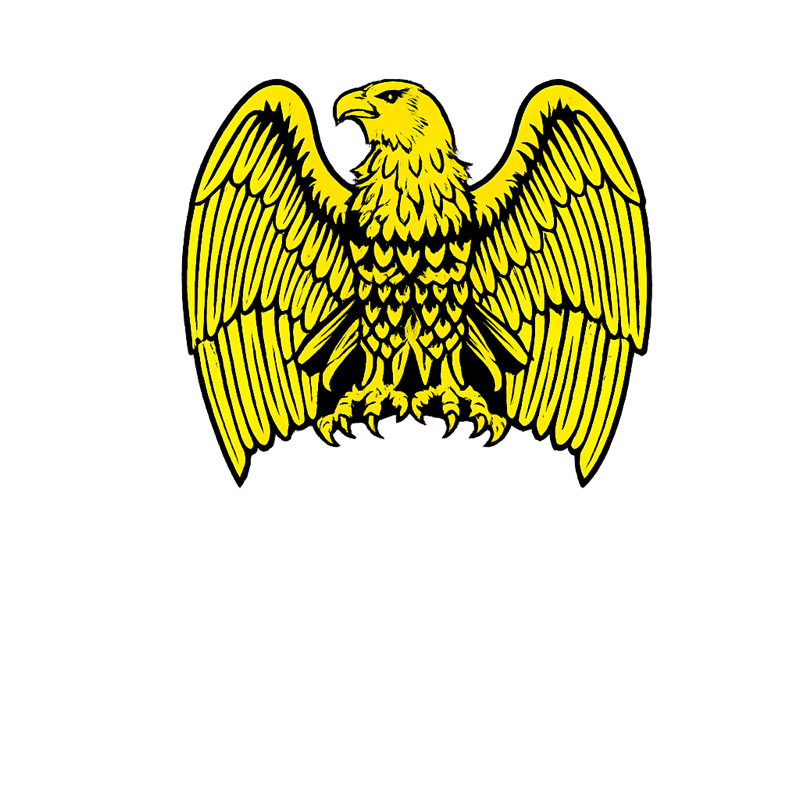 A águia do emblema do Valejas Atlético Clube